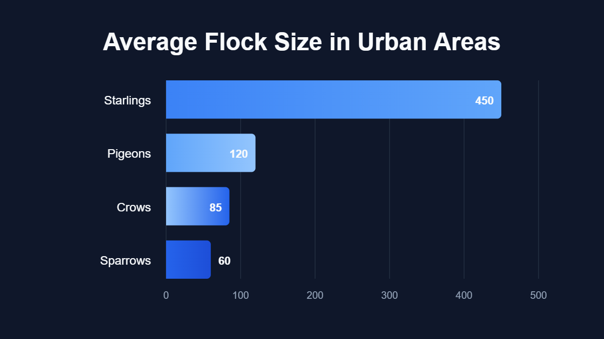 A bar chart titled "Average Flock Size in Urban Areas" showing data for Starlings, Pigeons, Crows, Sparrows.