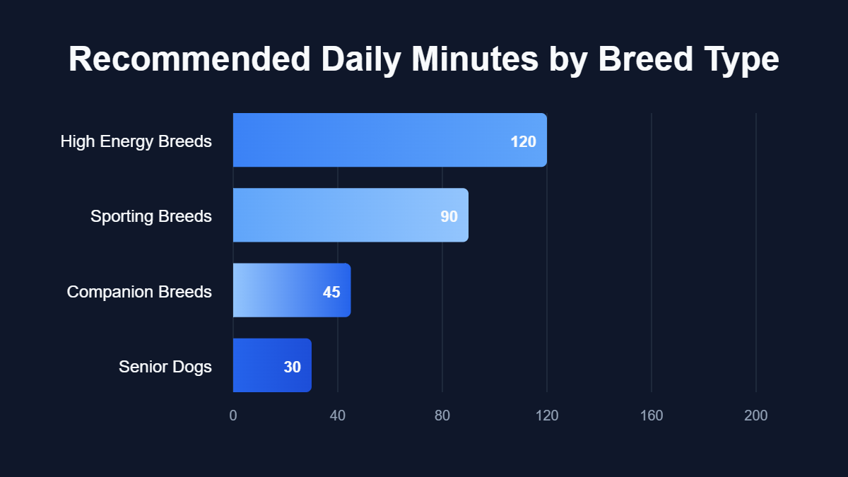 A bar chart titled "Recommended Daily Minutes by Breed Type" showing data for High Energy Breeds, Sporting Breeds, Companion Breeds, Senior Dogs.
