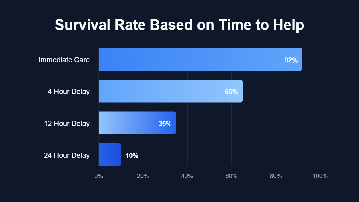 How To Help An Injured Bird At Home: A Complete Emergency Rescue Guide A bar chart titled "Survival Rate Based on Time to Help" showing data for Immediate Care, 4 Hour Delay, 12 Hour Delay, 24 Hour Delay.