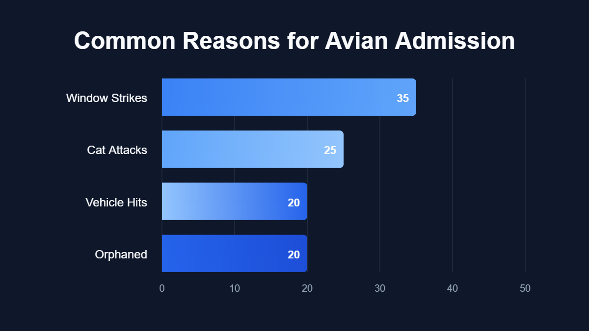A bar chart titled "Common Reasons for Avian Admission" showing data for Window Strikes, Cat Attacks, Vehicle Hits, Orphaned.