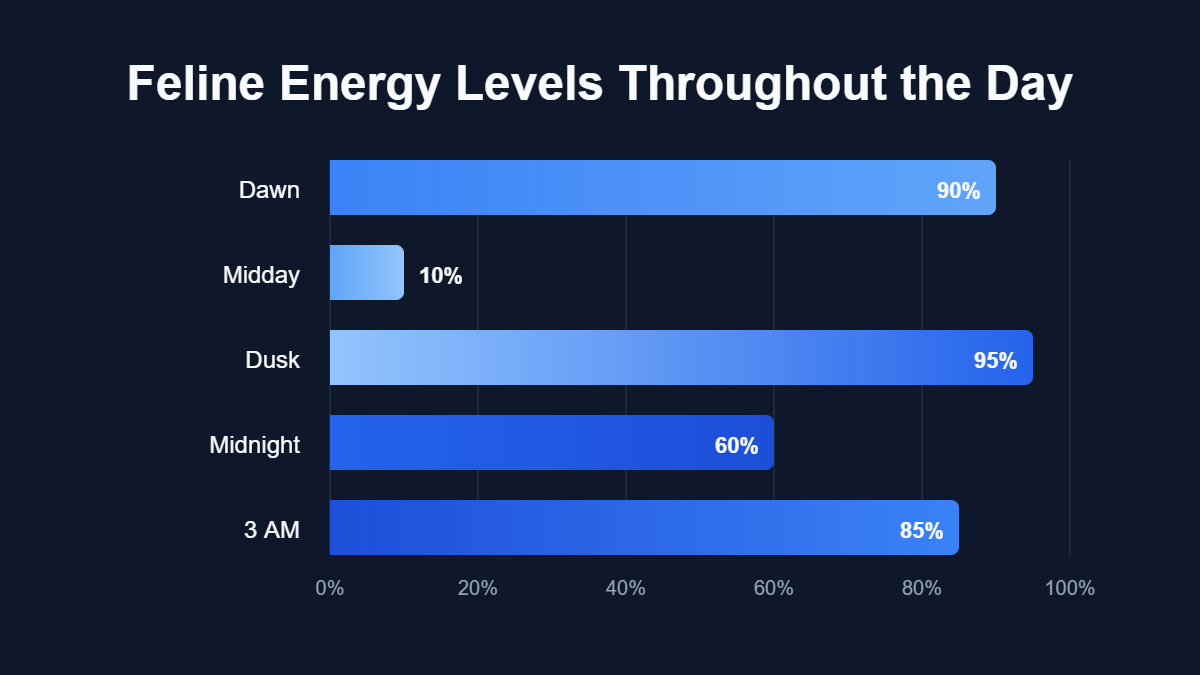 Why Is My Cat Meowing At Night Suddenly A bar chart titled "Feline Energy Levels Throughout the Day" showing data for Dawn, Midday, Dusk, Midnight, 3 AM.