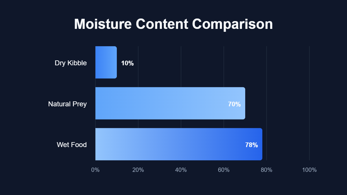Do Vets Recommend Wet Cat Food? Complete Veterinary Guide A bar chart titled "Moisture Content Comparison" showing data for Dry Kibble, Natural Prey, Wet Food.